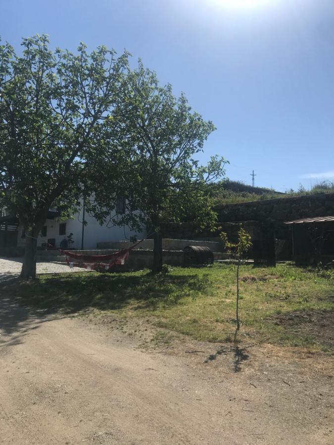 Holiday home Casa Nova Guimaraes